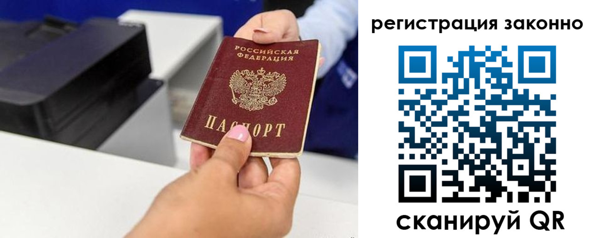 прописка для школы в Домодедово